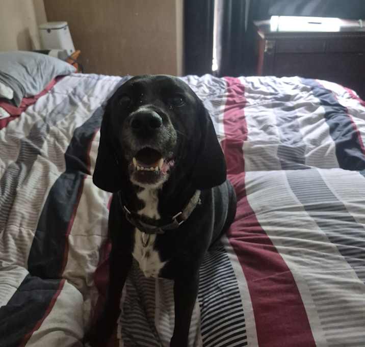 Photo of Skye