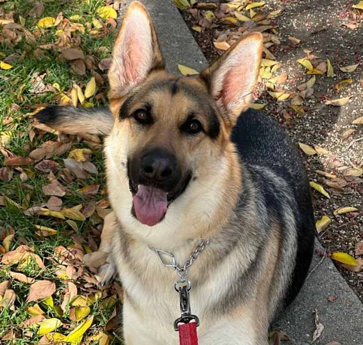 Photo of Mylah