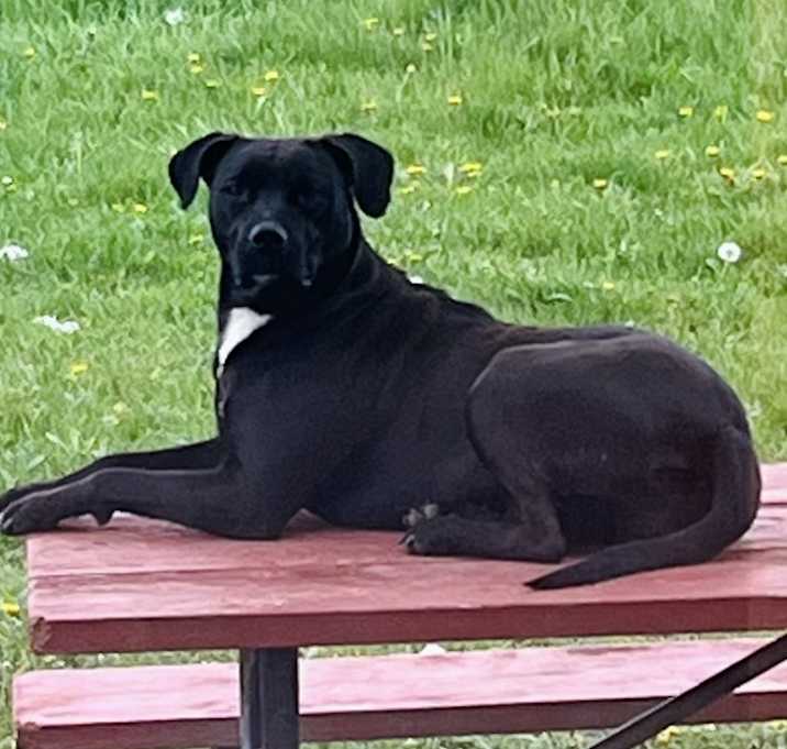 Photo of Sister
