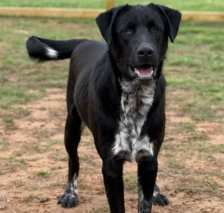 Photo of Hershey
