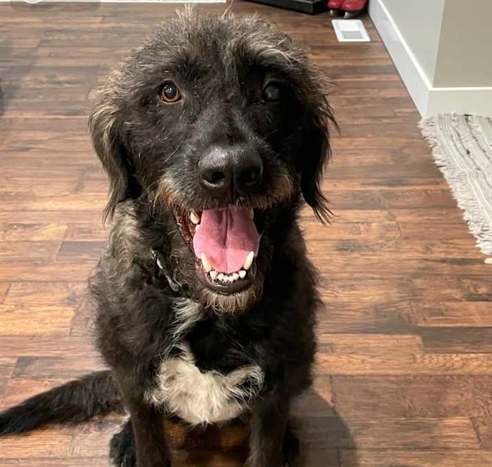 Photo of Gunner