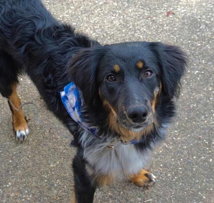 Photo of Zuko