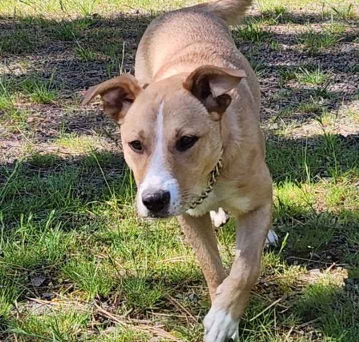 Photo of Daisy