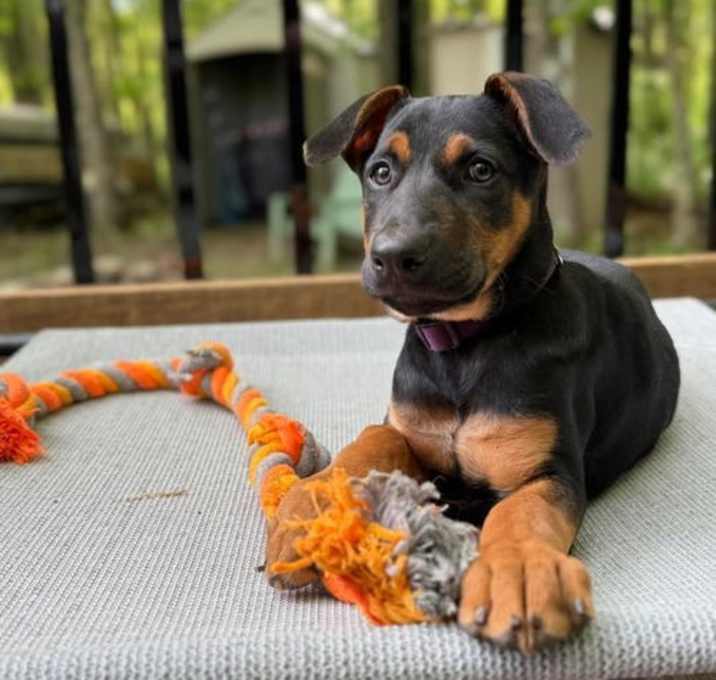 Photo of Lena