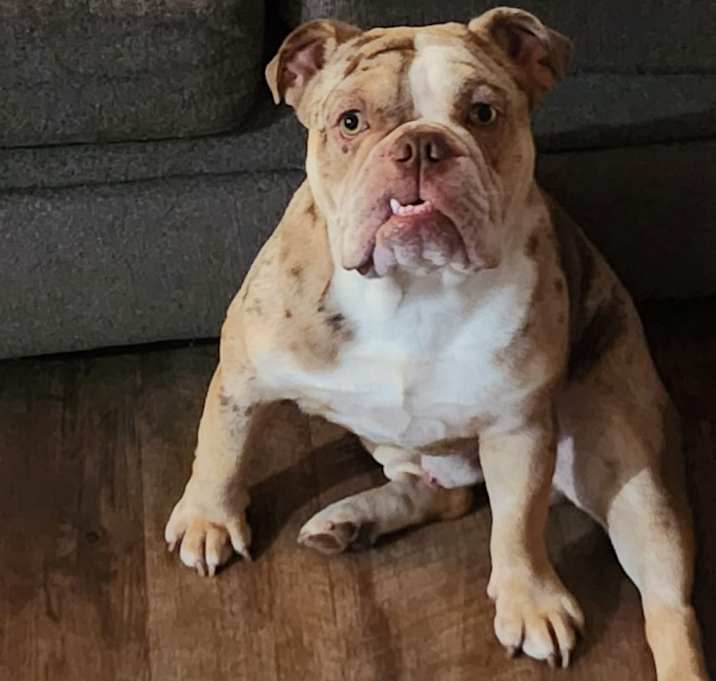 Photo of Thanos