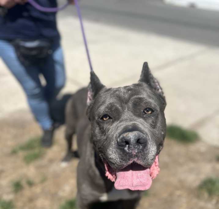 Photo of Thor