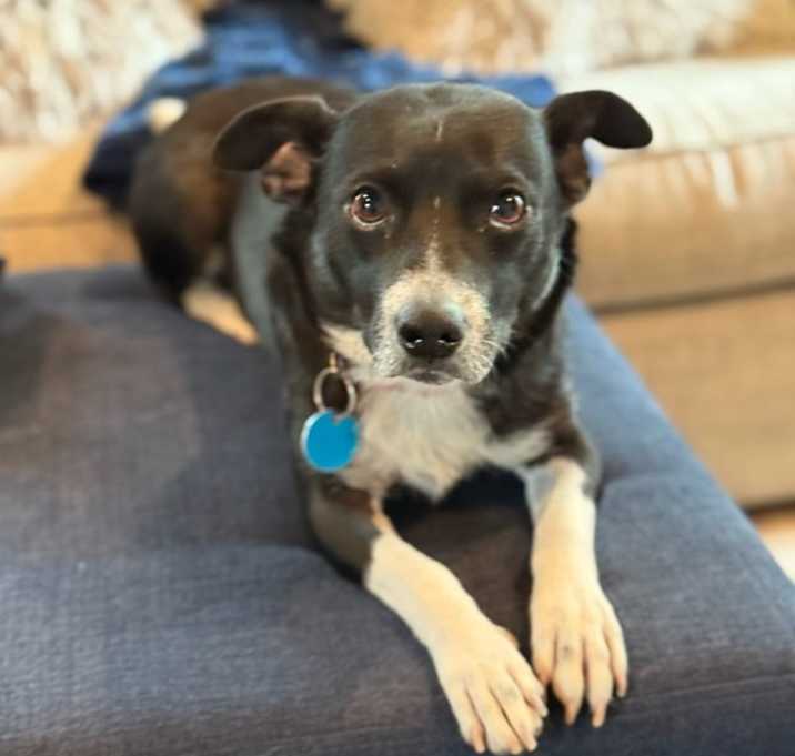 Photo of Lil' Mama