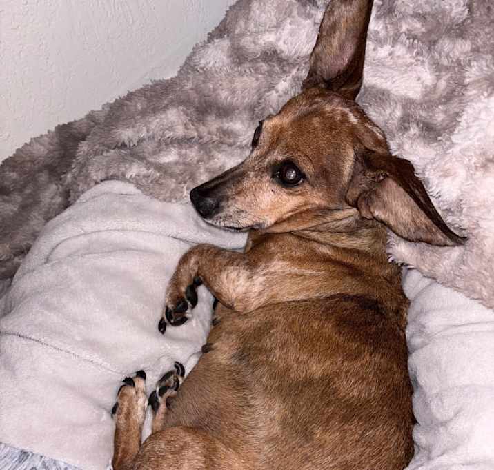 Photo of Chloe