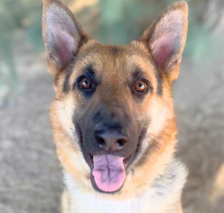 Photo of MAX AKA NOSE