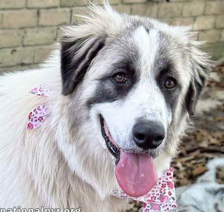 Photo of Bonnie in LA - Super Sweet & Loves Everyone!