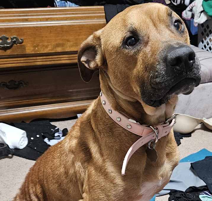 Photo of Lady pickles