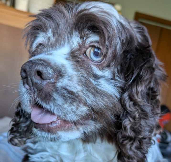 Photo of Betsy
