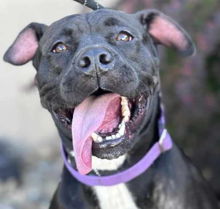 Photo of Zoe