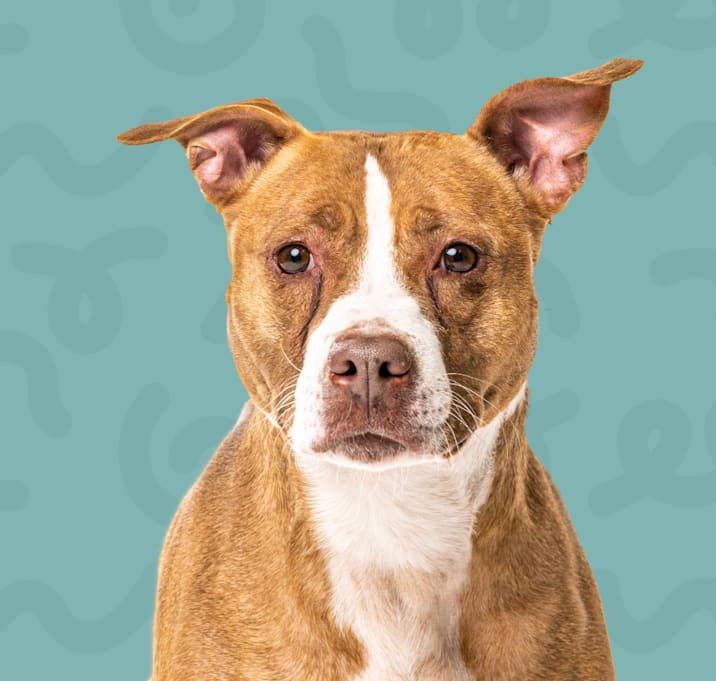 Photo of Kanela