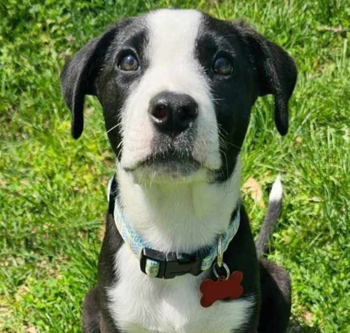 Photo of Bronx