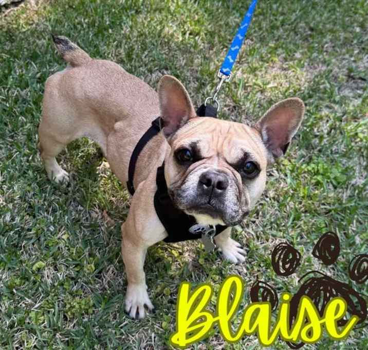 Photo of Blaise