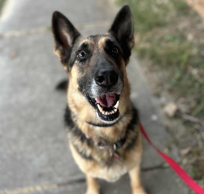 Photo of Bella
