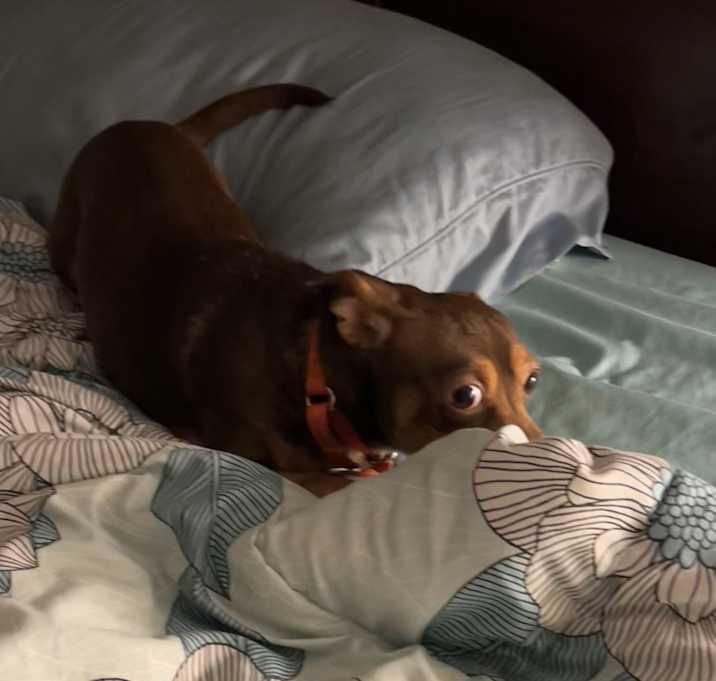 Photo of Oakley