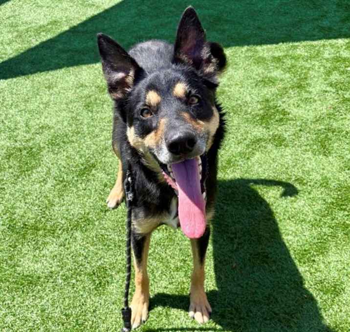 Photo of SPIKE