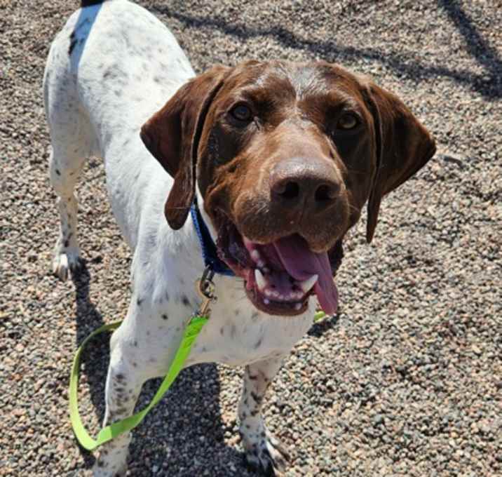 Photo of Duke