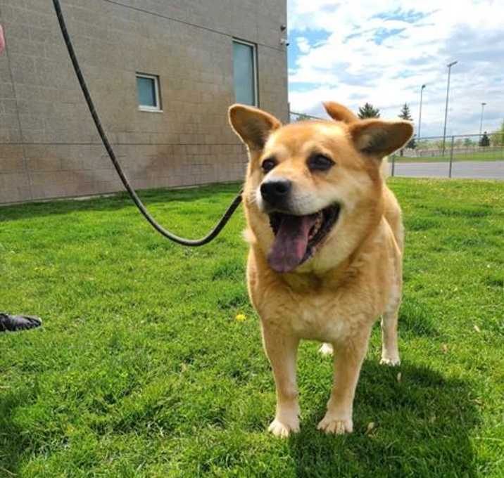 Photo of RUBY