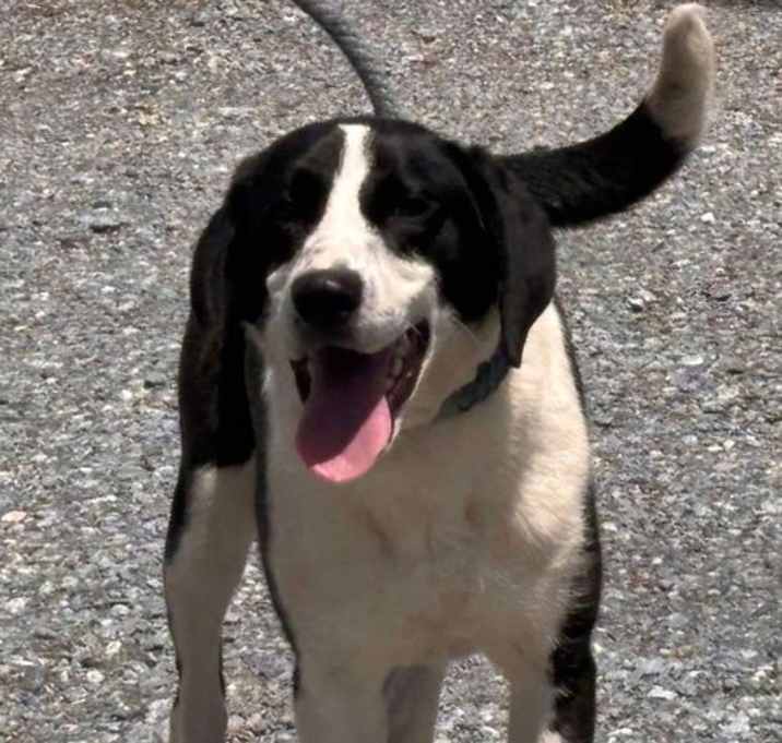 Photo of Semi: At shelter