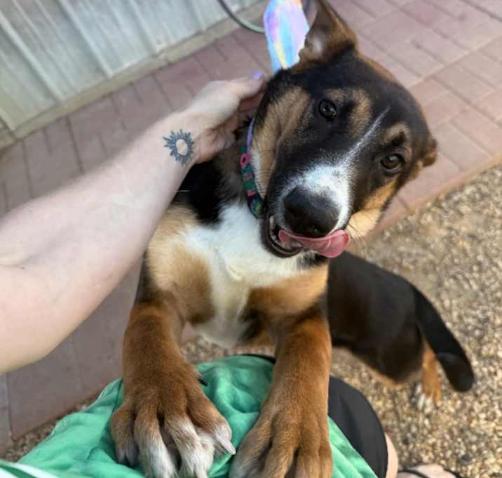 Photo of Fiona