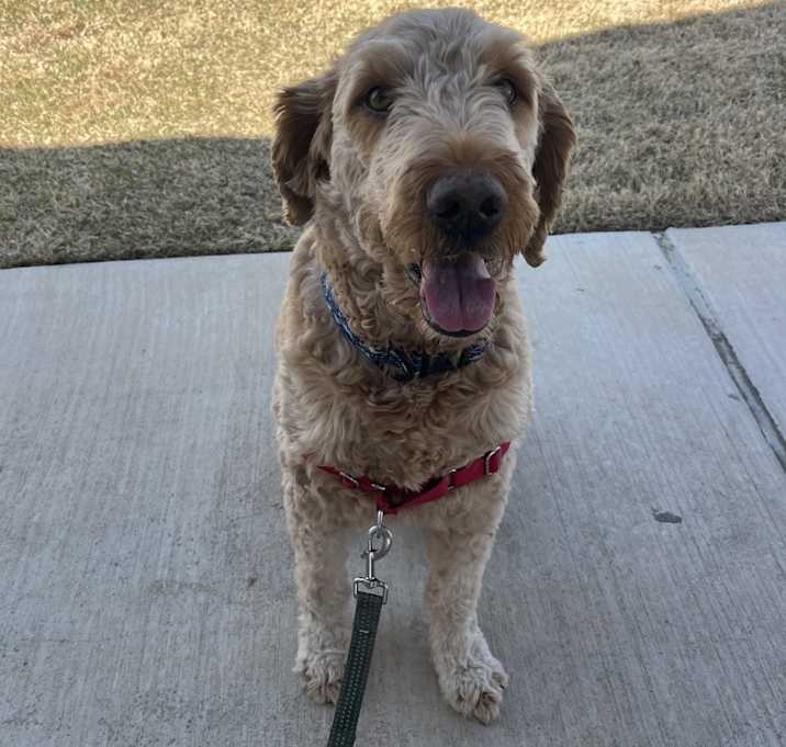 Photo of Cubby