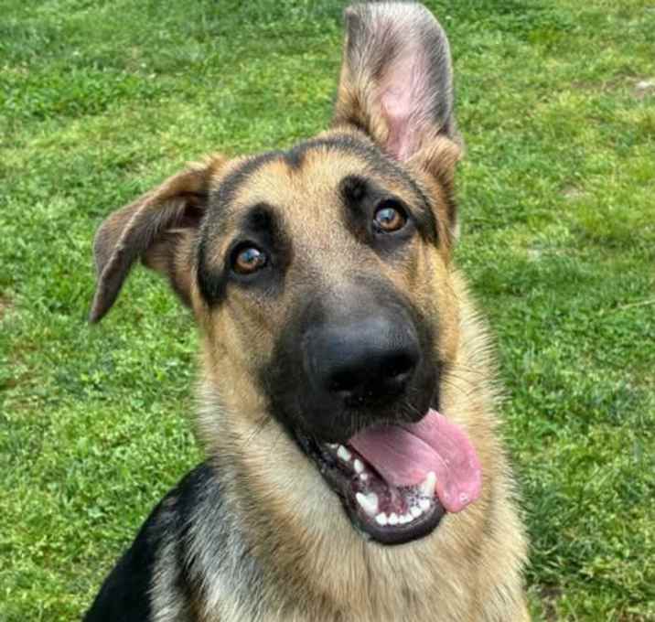 Photo of Murphy