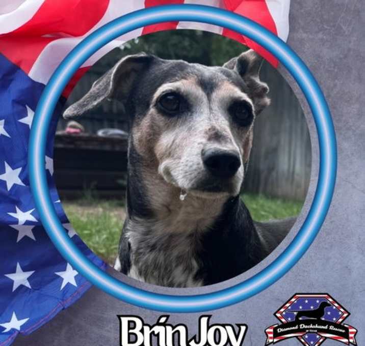 Photo of Brin Joy