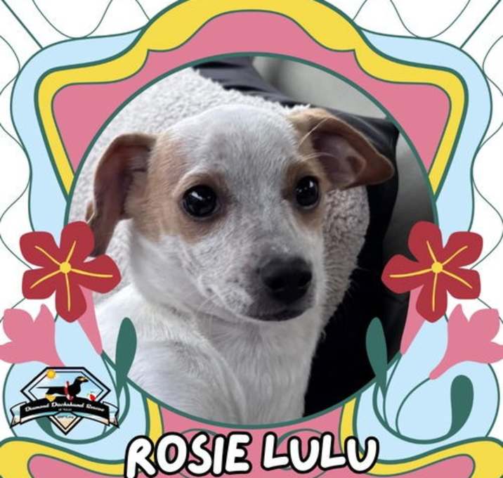 Photo of Rosie Lulu