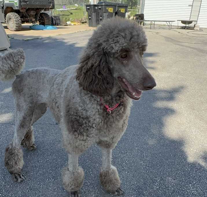 Photo of Holly