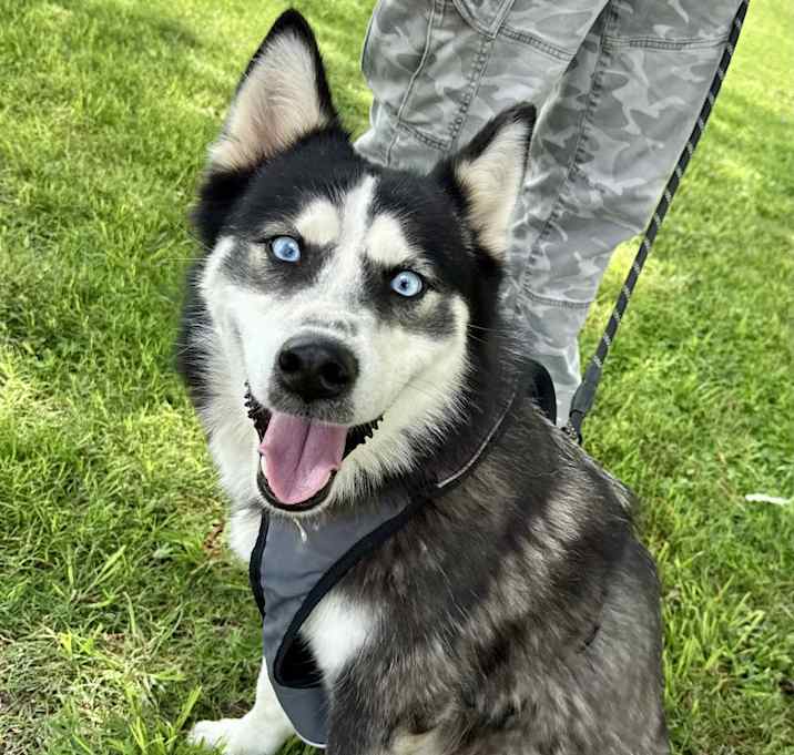 Photo of Lilly