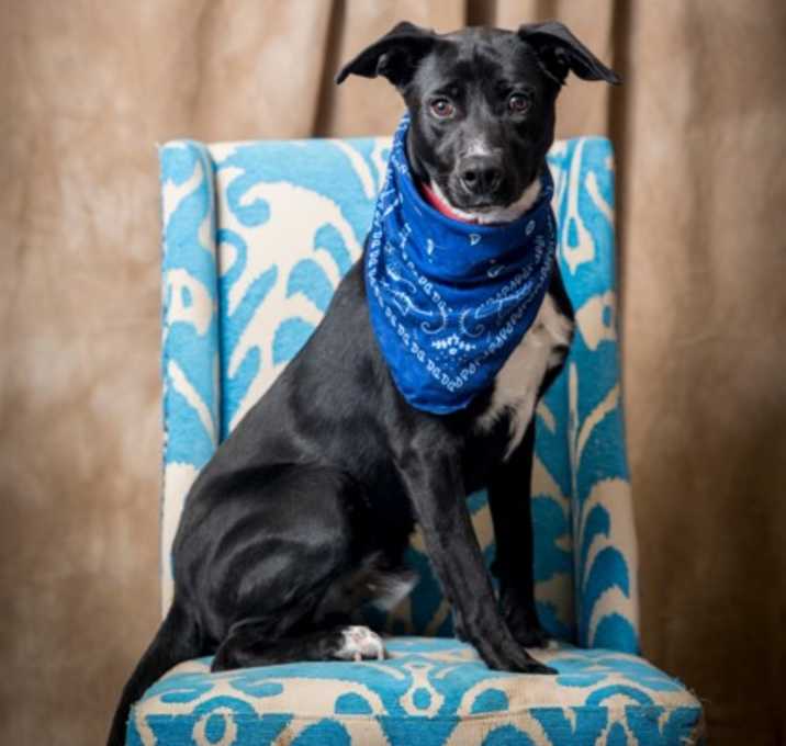 Photo of Jameson