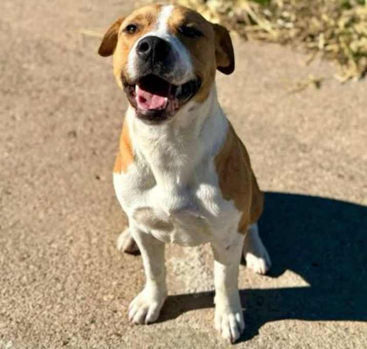 Photo of Tyson