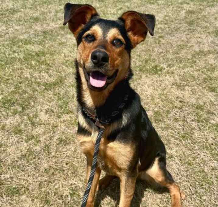 Photo of Baxter