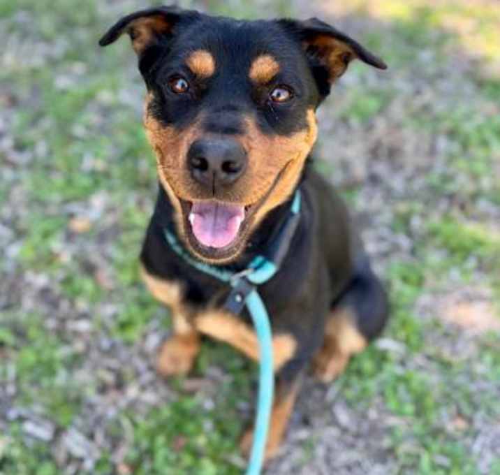 Photo of Lyric