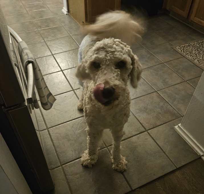Photo of Luigi