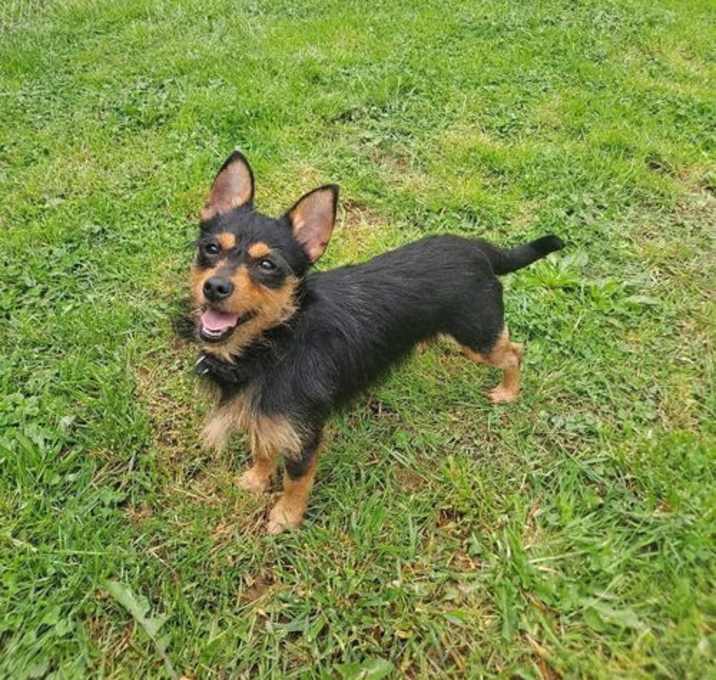Photo of Shilo