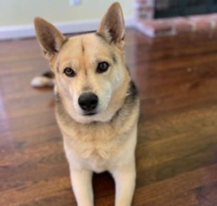 Photo of Lily