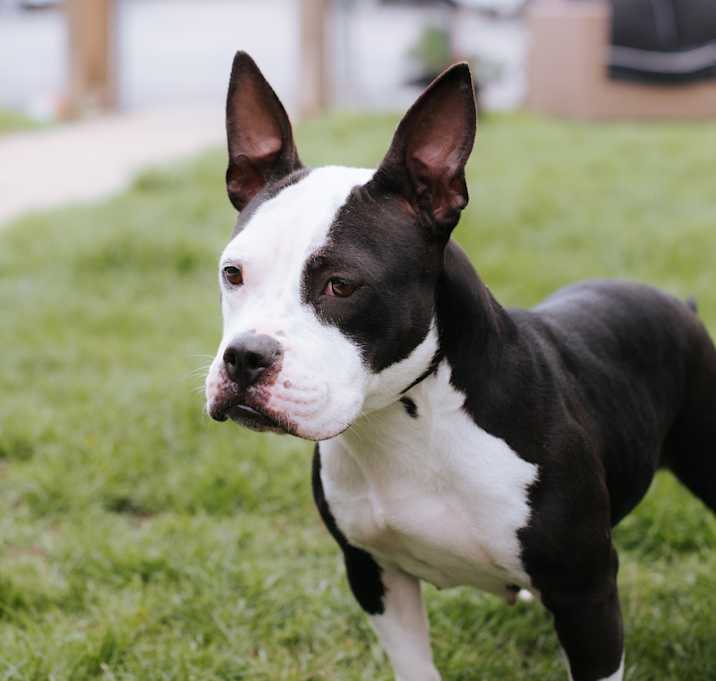 Photo of Grizzy