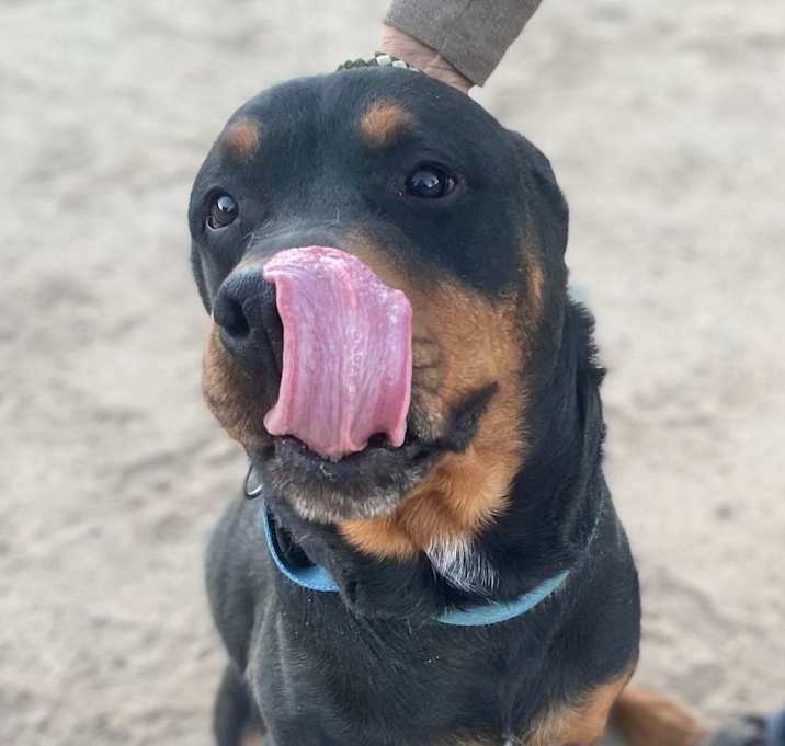 Photo of MORGAN
