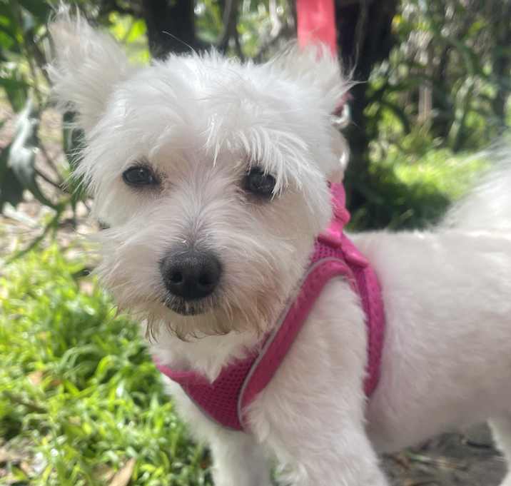 Photo of HANNAH