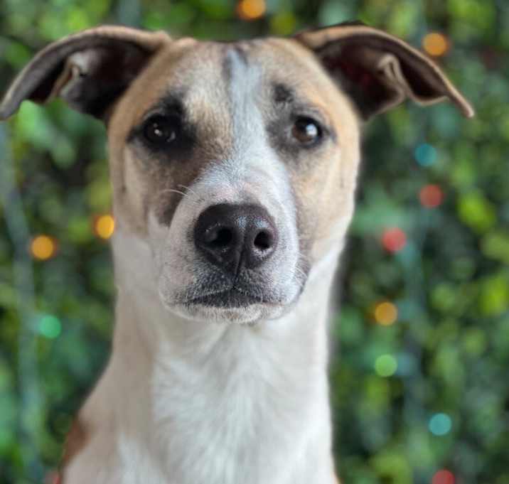 Photo of Simon