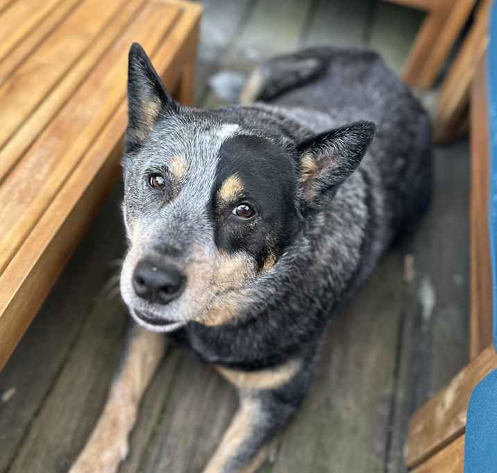 Photo of Ella