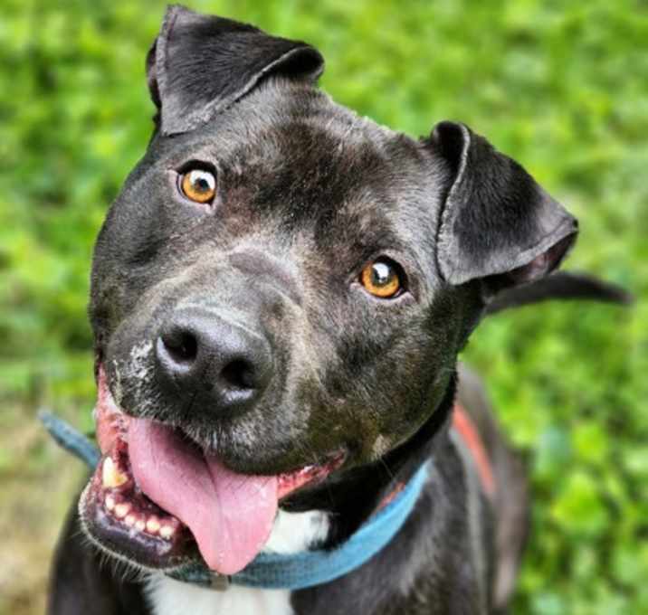 Photo of Marbles
