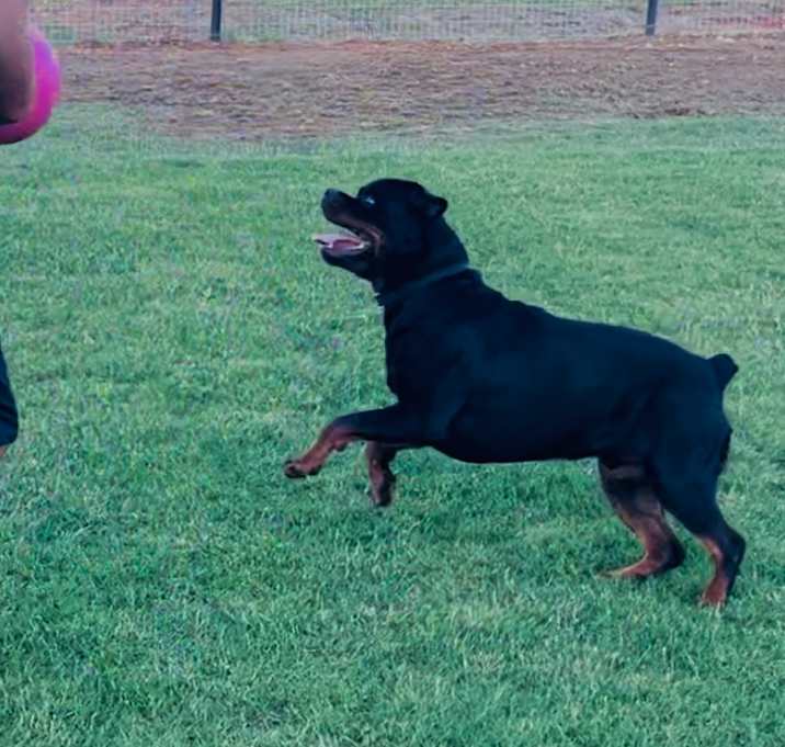 Photo of Shooter