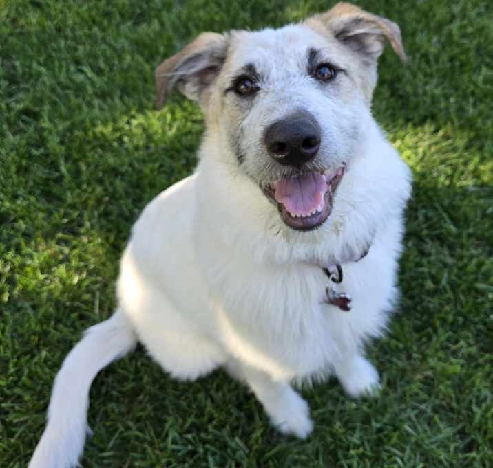 Photo of Kia