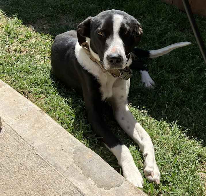 Photo of Churro