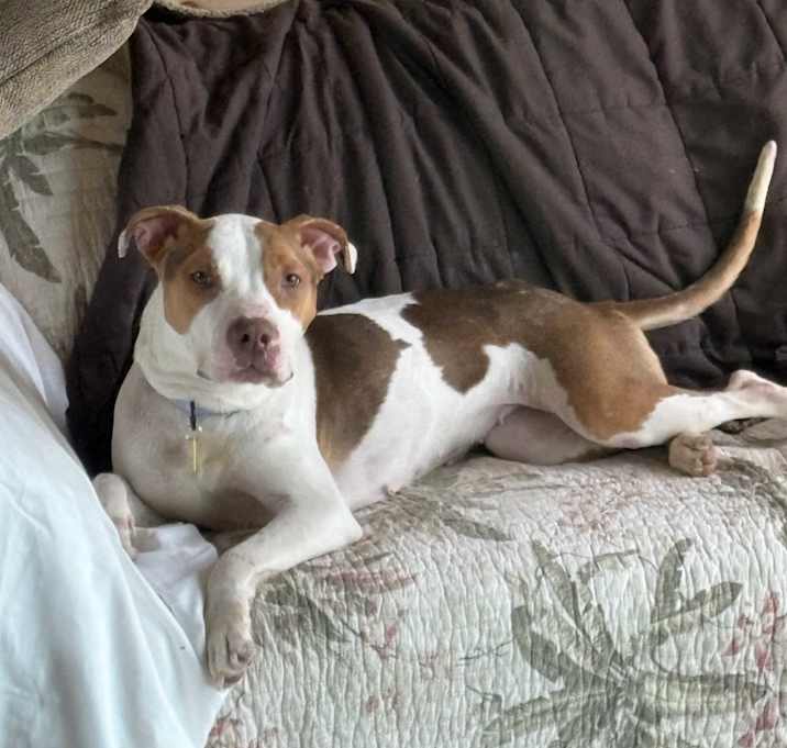 Photo of Lois